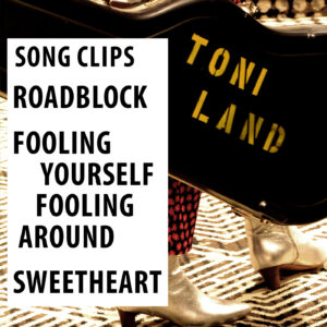 Toni Land - Sampler of Singles